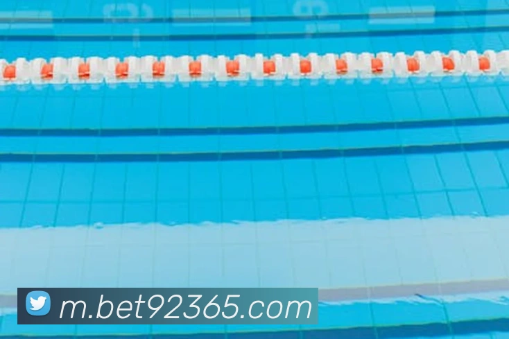 bet365com平台生态图